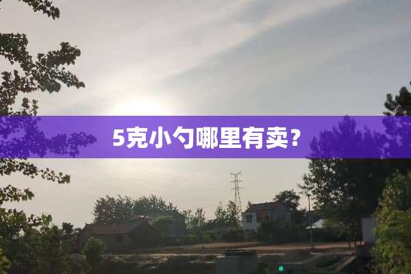 5克小勺哪里有卖？