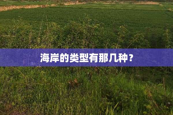 海岸的类型有那几种？
