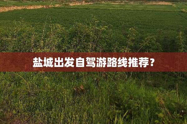 盐城出发自驾游路线推荐？