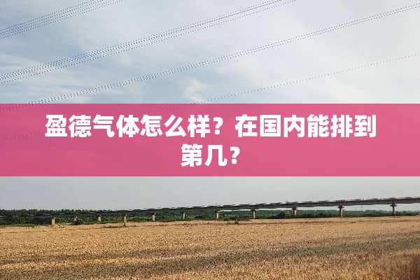 盈德气体怎么样？在国内能排到第几？