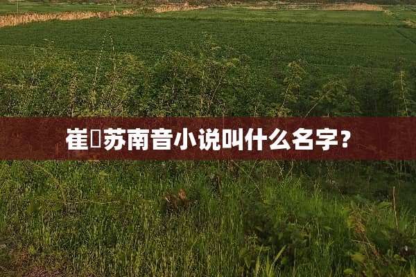 崔彧苏南音小说叫什么名字？