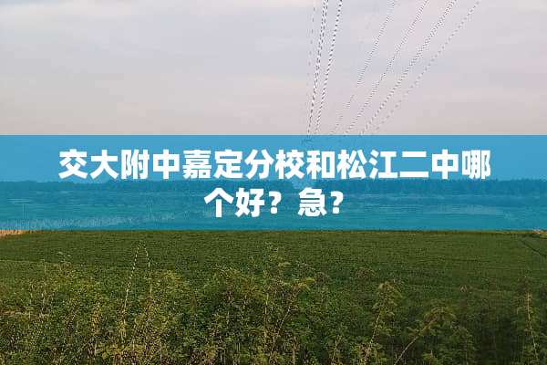 交大附中嘉定分校和松江二中哪个好？急？