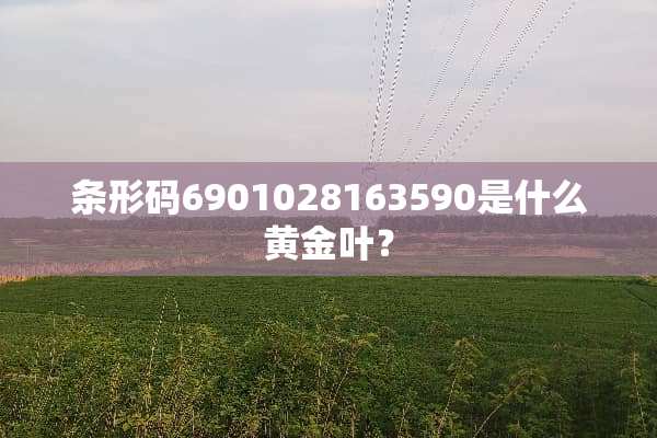 条形码6901028163590是什么黄金叶？
