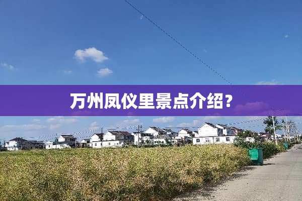 万州凤仪里景点介绍？