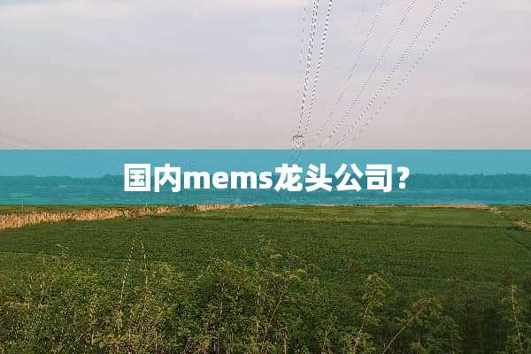国内mems龙头公司？