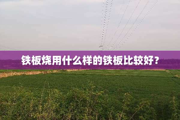铁板烧用什么样的铁板比较好？