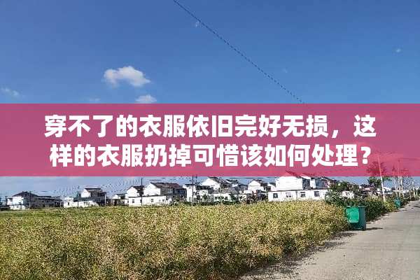 穿不了的衣服依旧完好无损，这样的衣服扔掉可惜该如何处理？