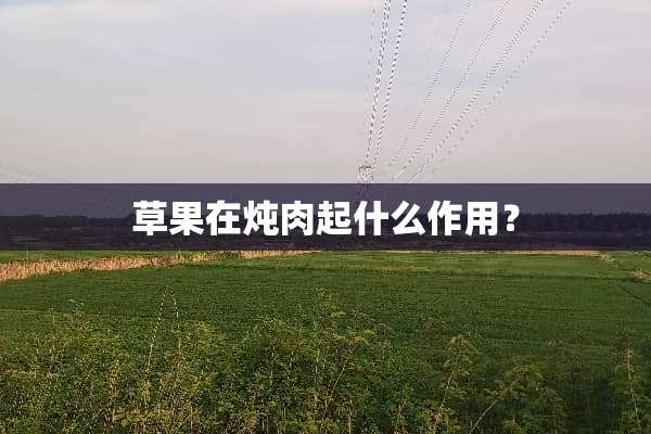 草果在炖肉起什么作用？