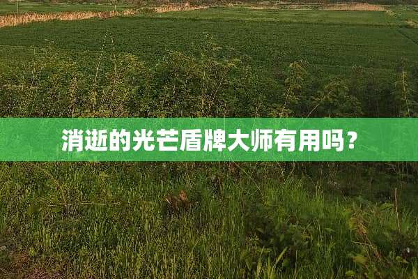 消逝的光芒盾牌大师有用吗？