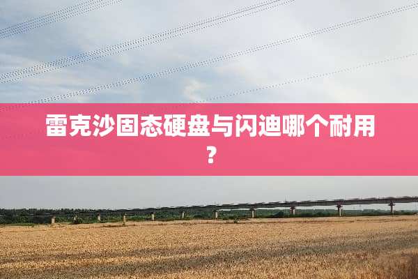 雷克沙固态硬盘与闪迪哪个耐用？