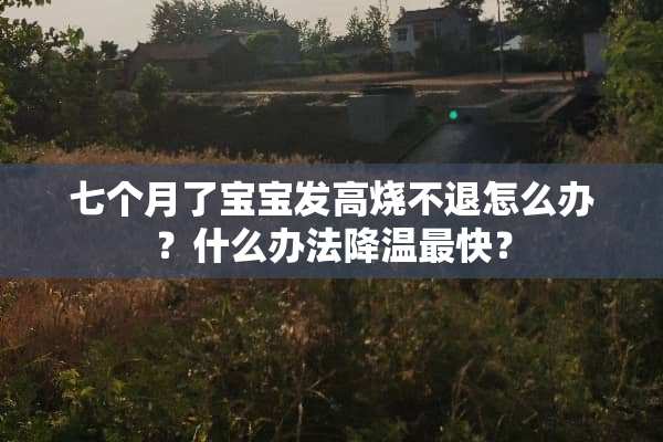 七个月了宝宝发高烧不退怎么办？什么办法降温最快？