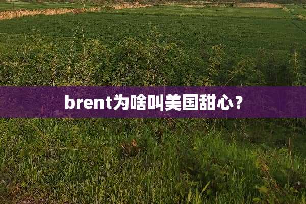 brent为啥叫美国甜心？