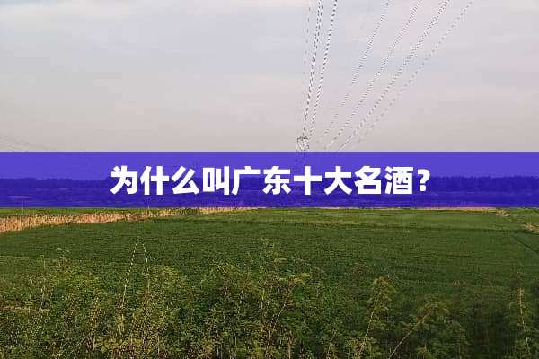 为什么叫广东十大名酒？