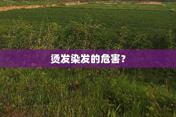 烫发染发的危害？