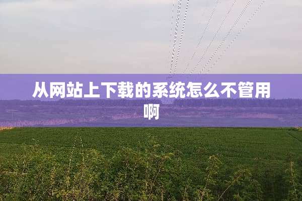 从网站上下载的系统怎么不管用啊