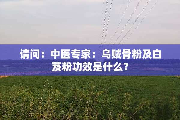 请问：中医专家：乌贼骨粉及白芨粉功效是什么？