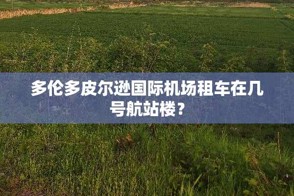 多伦多皮尔逊国际机场租车在几号航站楼？
