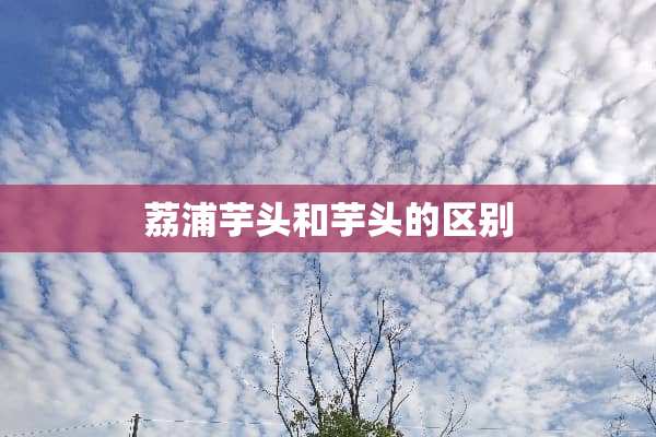 荔浦芋头和芋头的区别