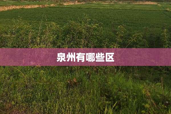 泉州有哪些区