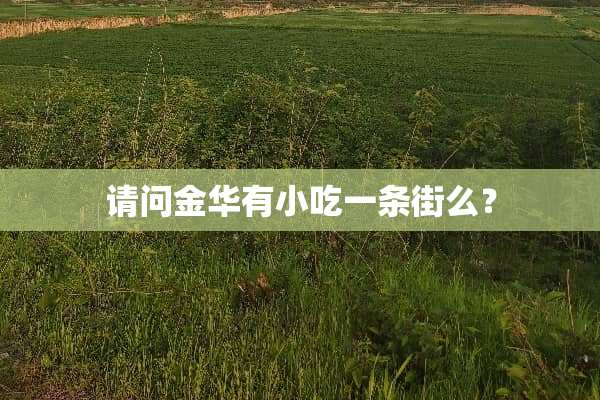 请问金华有小吃一条街么？