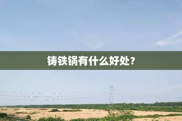 铸铁锅有什么好处？