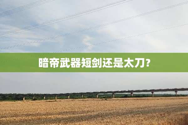 暗帝**短剑还是太刀？