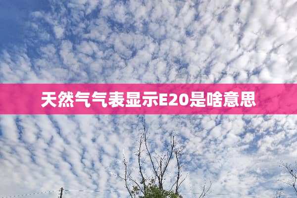天然气气表显示E20是啥意思