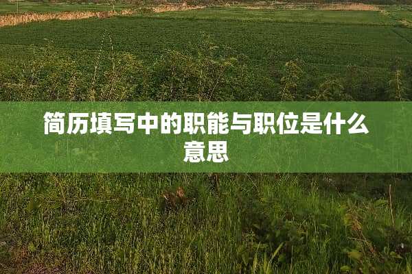 简历填写中的职能与职位是什么意思