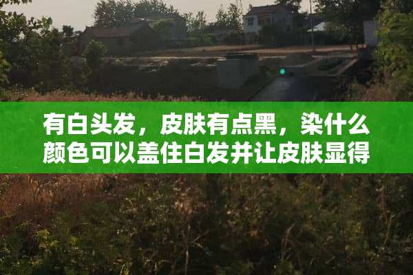 有白头发，皮肤有点黑，染什么颜色可以盖住白发并让皮肤显得白些？