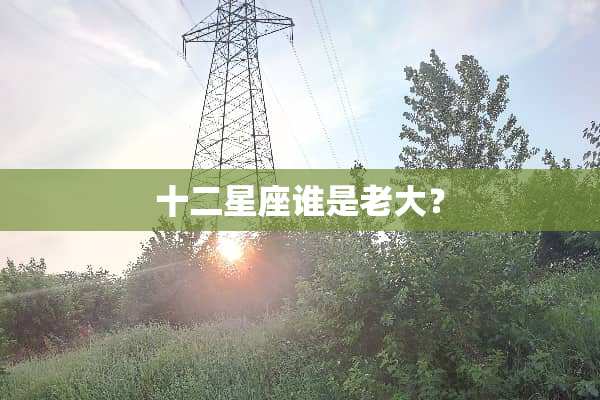 十二星座谁是老大？