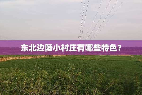 东北边陲小村庄有哪些特色？