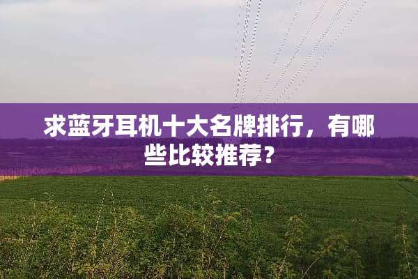 求蓝牙耳机十大名牌排行，有哪些比较推荐？