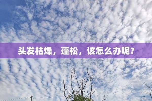 头发枯燥，蓬松，该怎么办呢？