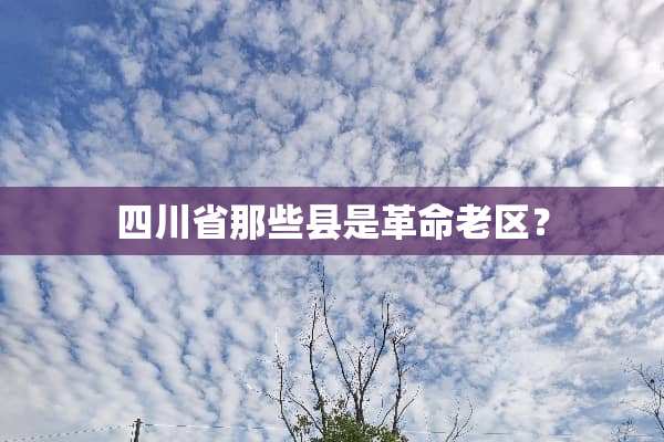 四川省那些县是**老区？