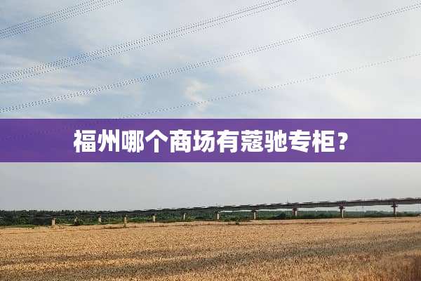福州哪个商场有蔻驰专柜？