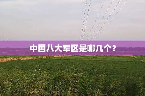 中国八大**是哪几个？