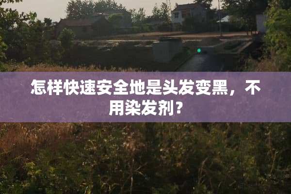 怎样快速安全地是头发变黑，不用染发剂？