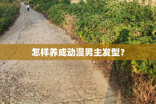 怎样养成动漫男主发型？