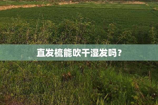 直发梳能吹干湿发吗？
