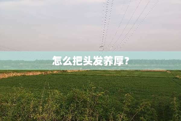 怎么把头发养厚？