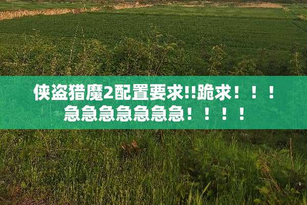 侠盗猎魔2配置要求!!跪求！！！急急急急急急急！！！！