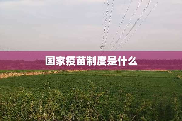 国家**制度是什么