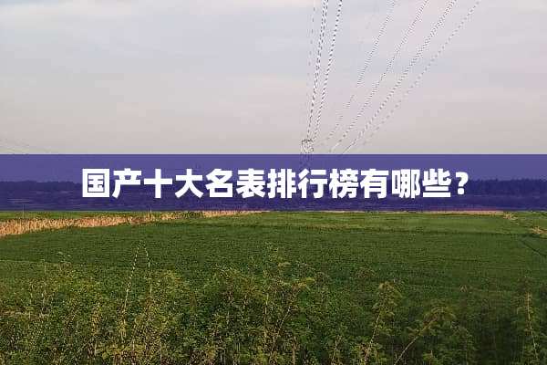 国产十大名表排行榜有哪些？