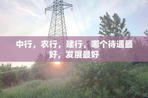 中行，农行，建行，哪个待遇最好，发展最好