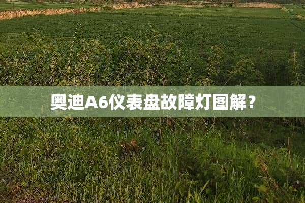 奥迪A6仪表盘故障灯图解？