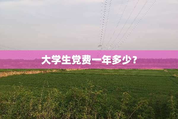 大学生*费一年多少？