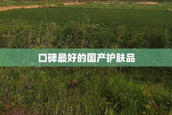 口碑最好的国产护肤品