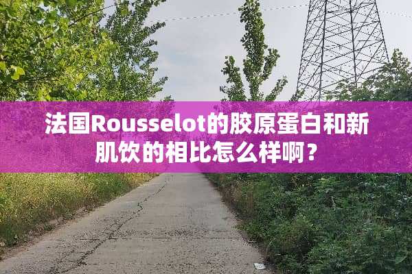 法国Rousselot的胶原蛋白和新肌饮的相比怎么样啊？