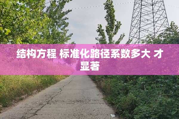 结构方程 标准化路径系数多大 才显著