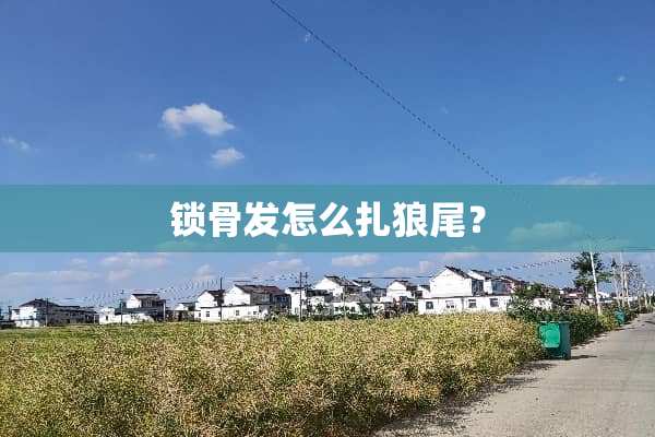 锁骨发怎么扎狼尾？